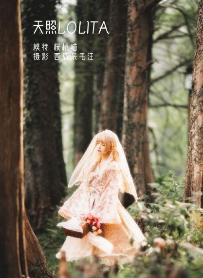 24小时免费看电视剧软件_国产剧超清在线观看